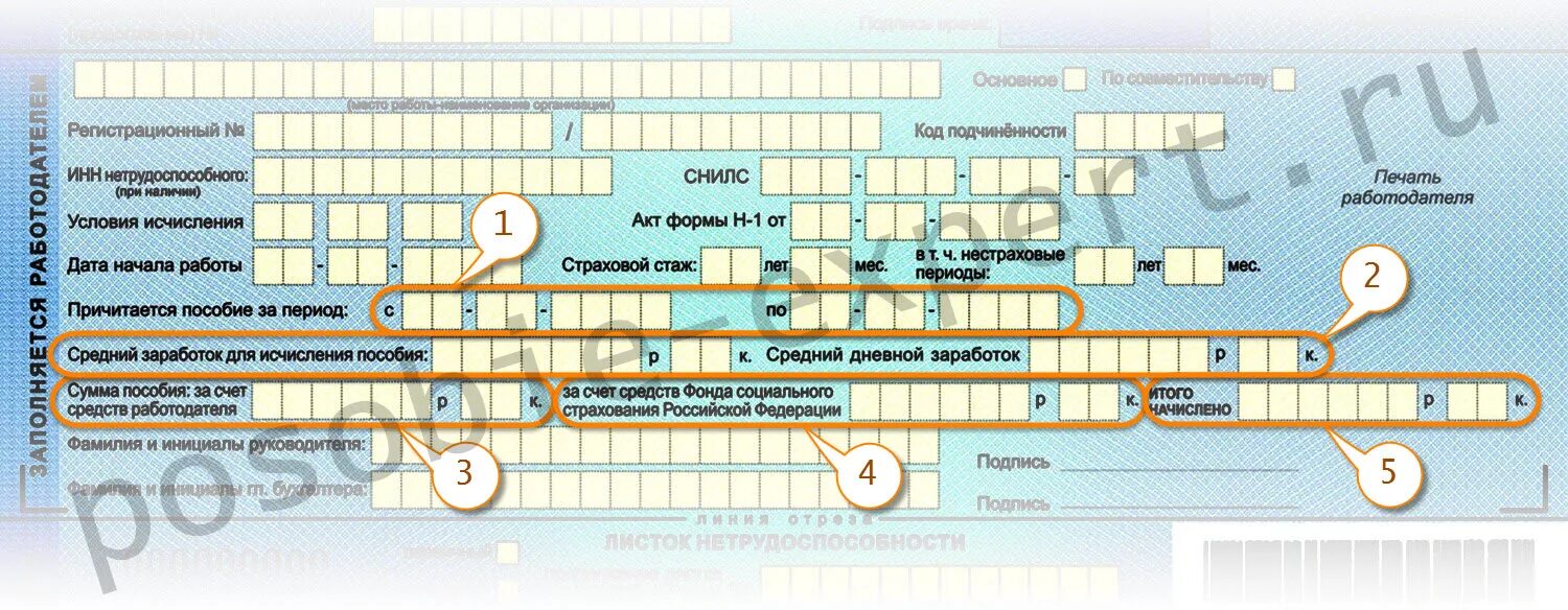 Больничный по беременности кесарево. Больничный лист по беременности и родам. Листок нетрудоспособности. Листок нетрудоспособности по беременности и родам. Лист нетрудоспособности по беременности.