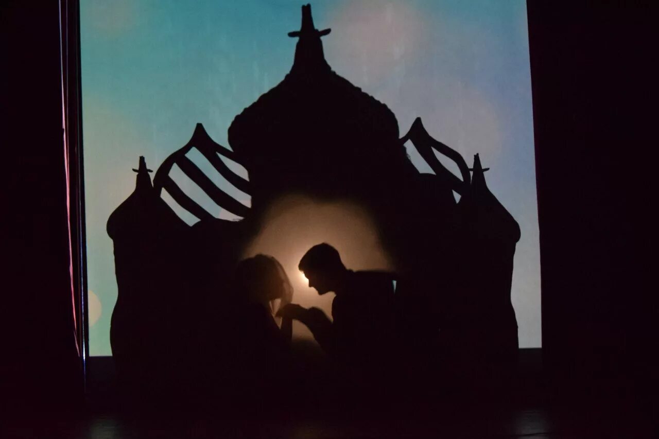 театр теней днем. теневой театр на стене. театр теней днем. театр теней днем. театр теней замок.