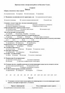 Промежуточная контрольная 9 класс