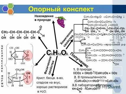 Тест по органической химии 10