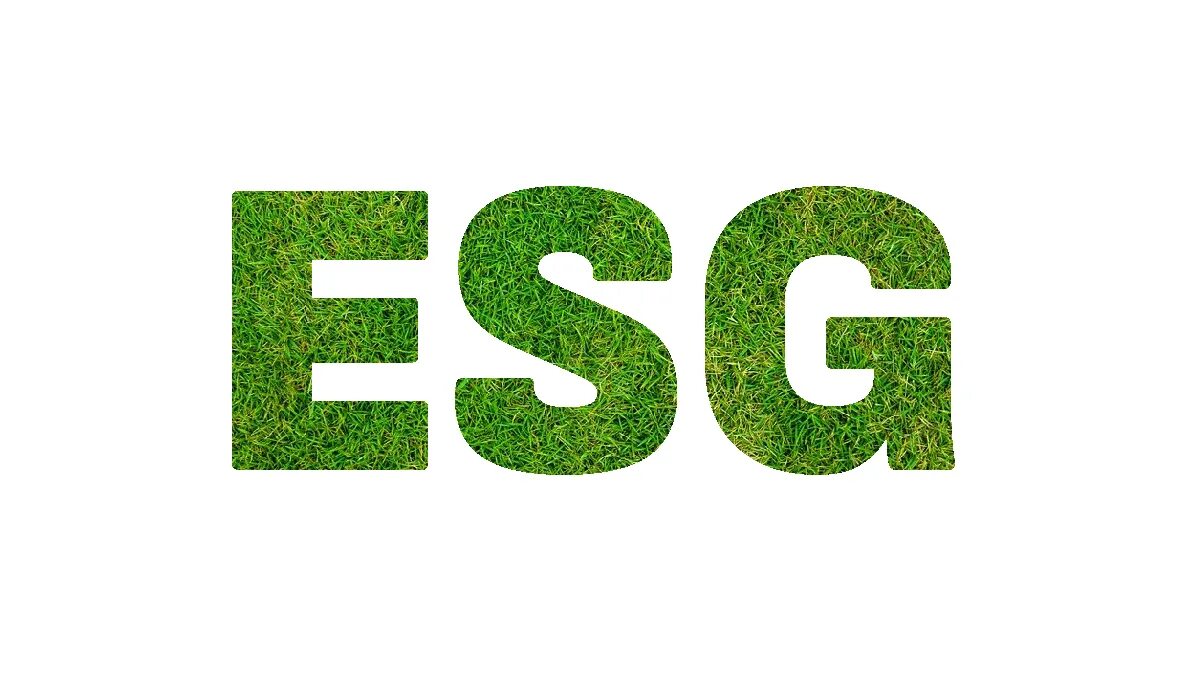 Области esg. ESG логотип. ESG картинки для презентации. ESG В России. Элементы ESG.