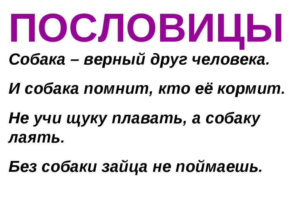 Пословицы народов о человеке. Пословицы про собак. Поговорки про собак. Пословицы про собаку для детей. Пословицы про собаку и человека.