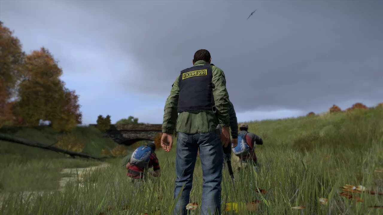 Купить аккаунт dayz. Day z 2013. В3с Дейзи. Дейз стендалон. DAYZ Standalone 1 версии.