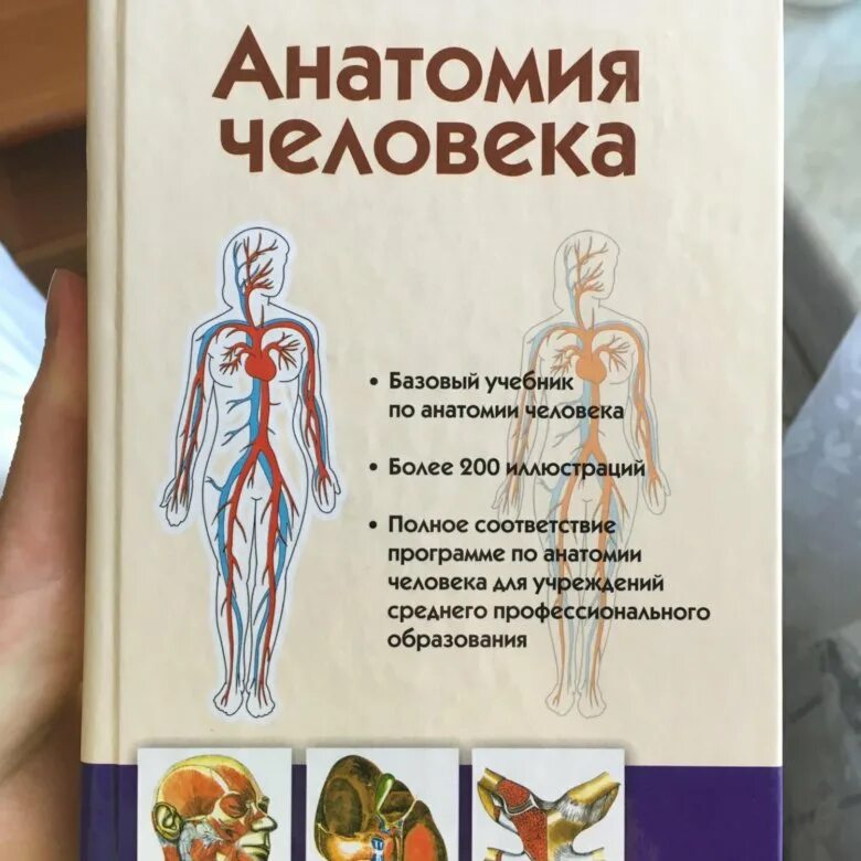 Атлас студентам анатомии. Учебник по анатомии. Анатомия человека учебник. Человек анатомия студенты. Книжка по анатомии.