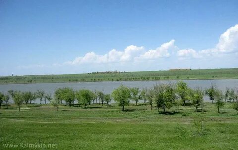 Республика калмыкия село соленое