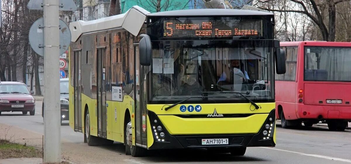 Автобуса в барановичах. Маз 303. барановичи автобус. новый маз-226 в барановичах.
