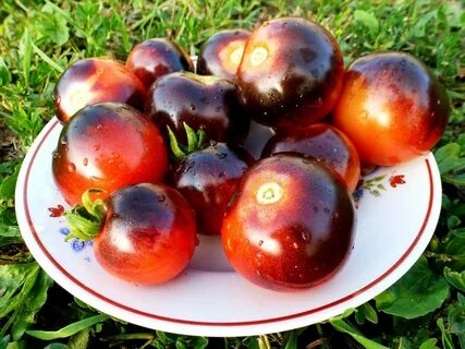 Blueberry cherry