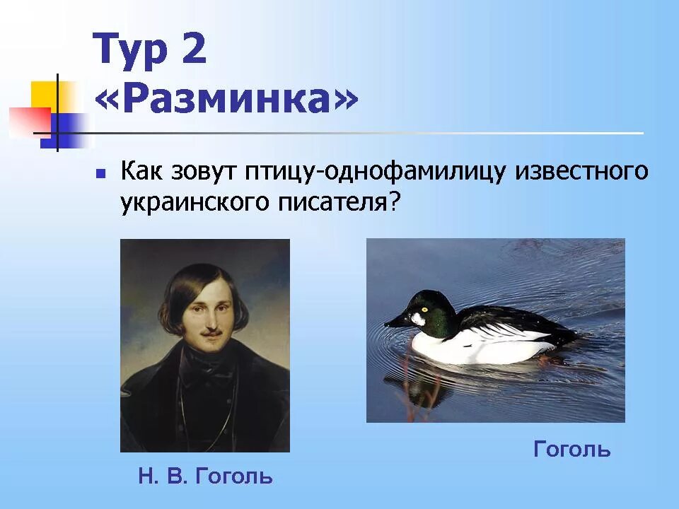Изучение птиц как называется. Ученый изучающий птиц. человек изучающий птиц. как называют учёного изучающего птиц. uchoniy ptitsa.