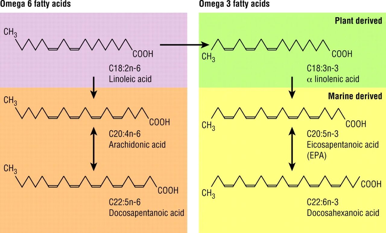 Полиненасыщенные жирные кислоты Омега 3 и Омега 6. Структура Омега-6 жирной кислоты. Омега 3 и 6 жирные кислоты. Омега-3 жирные кислоты структура. Источник w 3 кислот
