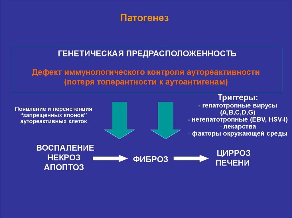 Аутоиммунная печени. Хронический аутоиммунный гепатит этиология. Хронический аутоиммунный гепатит патогенез. Схема лечения хронического аутоиммунного гепатита. •• Аутоиммунный гепатит патогенез симптомы.