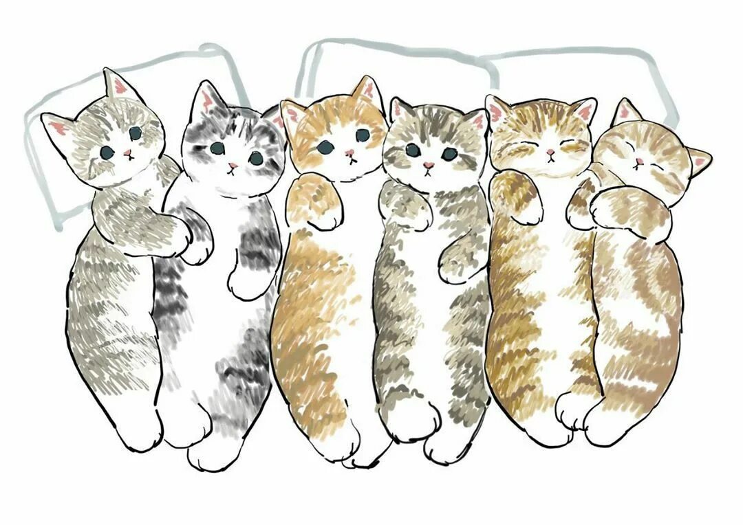 Включи много котика. Котики Mofu. Несколько котят рисунок. Много котят. Кошка с котятами рисунок.