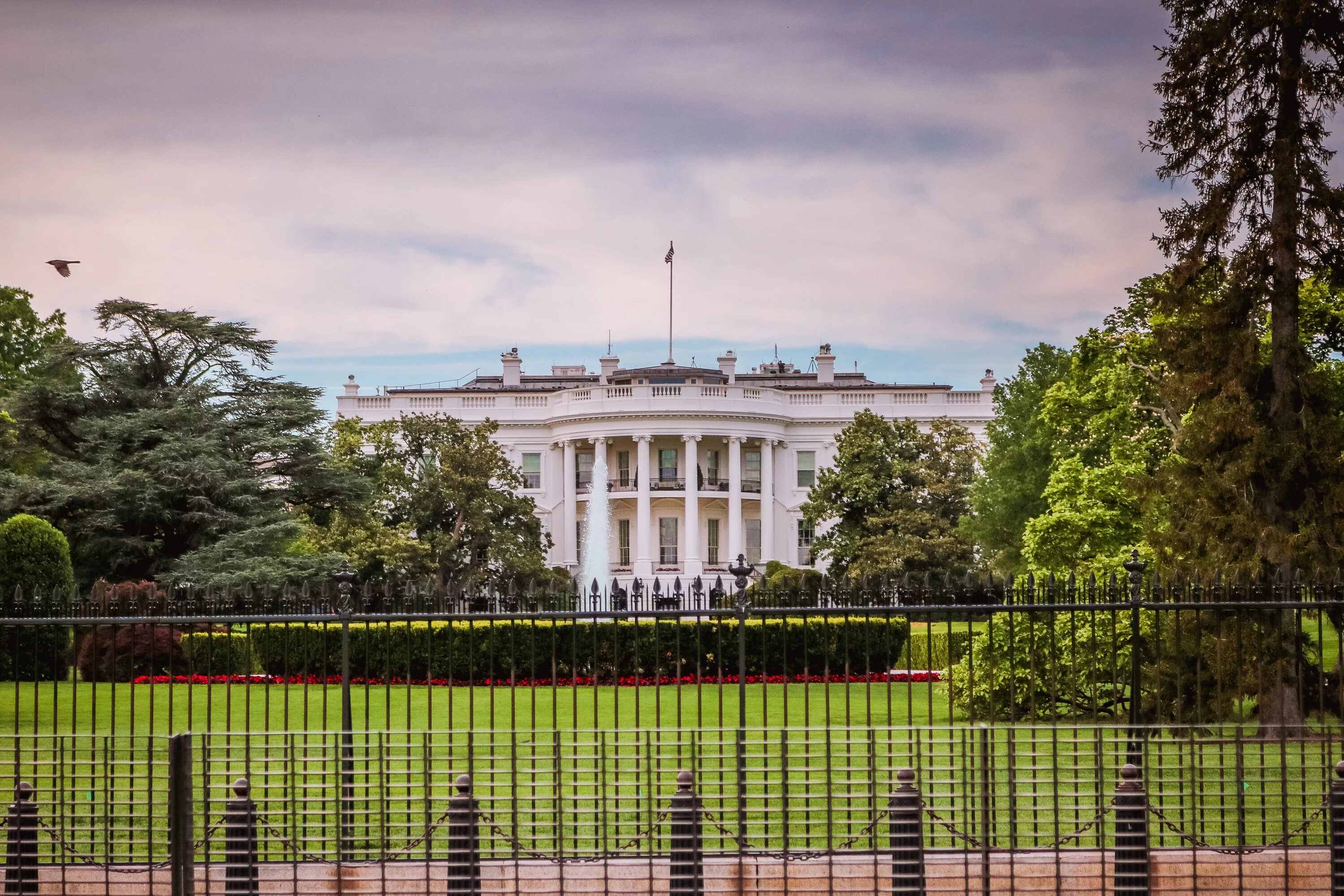 Белый дом ростов на дону. Белый дом Вашингтон 2021. Президентский дворец Вашингтон. Белый дом Вашингтон территория. Белый дом архитектура Вашингтон.