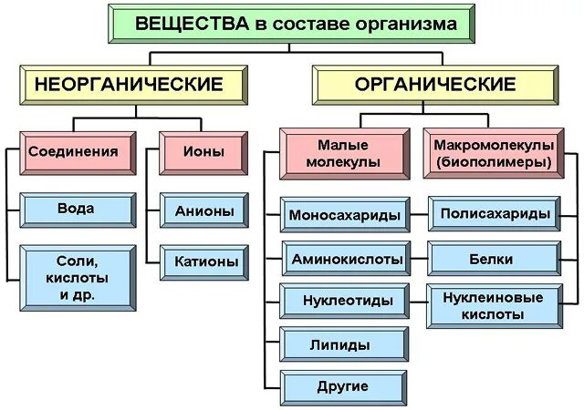 Химическая организация клетки неорганические вещества. ДНК органическое или неорганическое вещество. Состав клетки органические синтетические биохимические. Резина органическое или неорганическое вещество