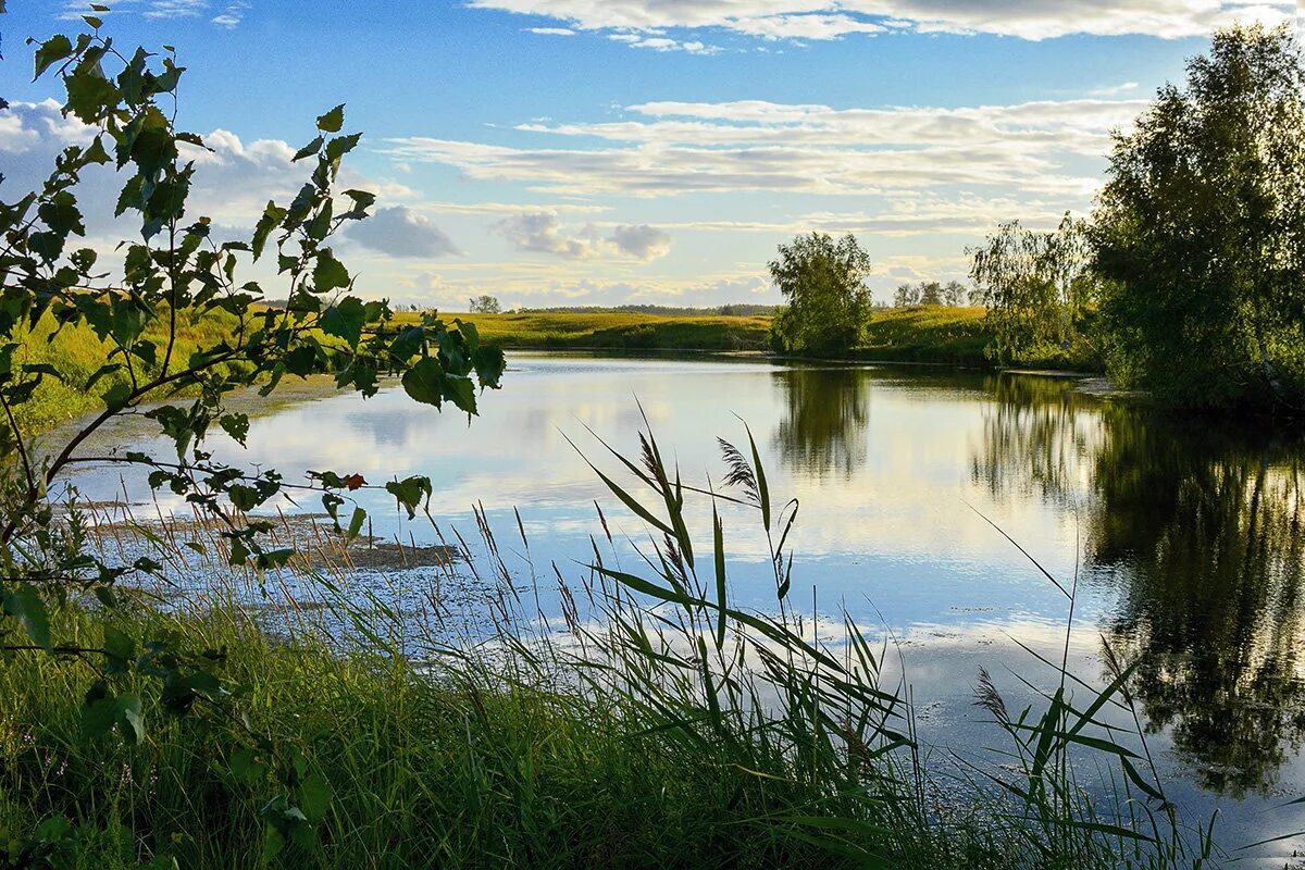 Притоки реки омь. Притоки реки омь. Карта россии иртыш река притоки. Исток реки иртыш на карте. Притоки реки омь.