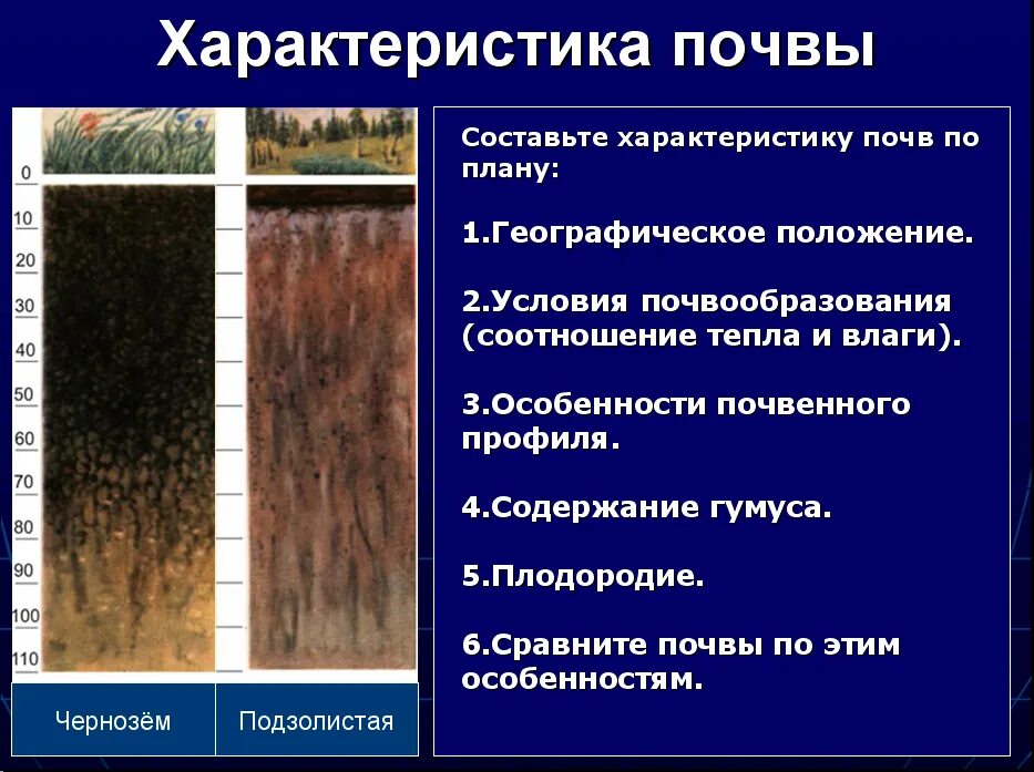 Для какой природной зоны характерны черноземы почвы. Характеристика почв России. Характеристика почвы. Характеристика типов почв. Географическое положение почв.