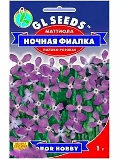 Ночная фиалка семена