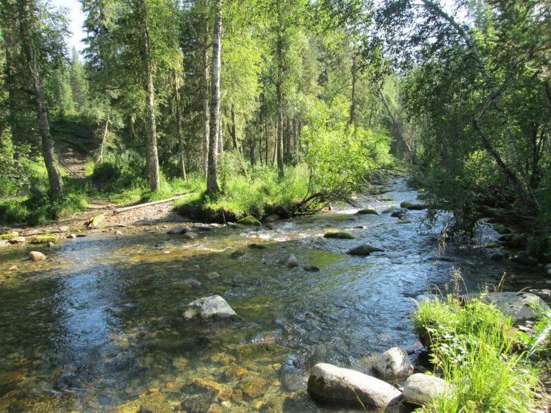погода малый бащелак алтайский край. чарышский район село малый бащелак. бащелак алтайский край чарышский район. алтайский край чарышский район село малый бащелак. малый бащелак чарышский район алтайский край.