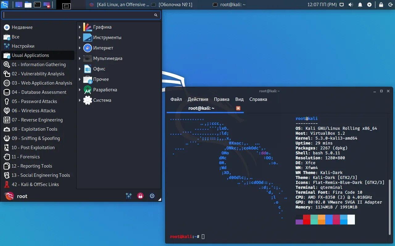Kali Linux ОС. Kali Linux операционные системы. Интерфейс операционной системы kali Linux. Калий линукс.