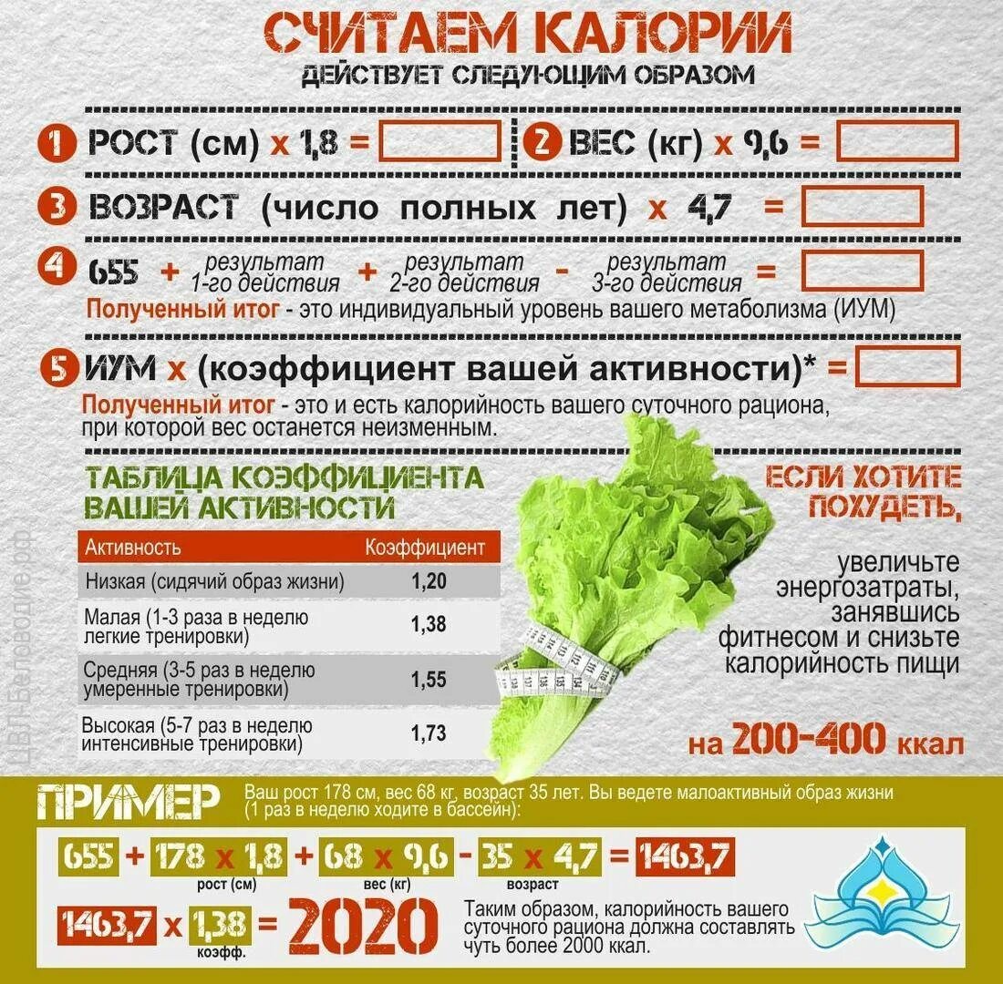 Часто на продуктах пишут. Как подсчитать калории. Схема подсчета калорий. Подсчет калорий рацион. Как рассчитать калорийность.