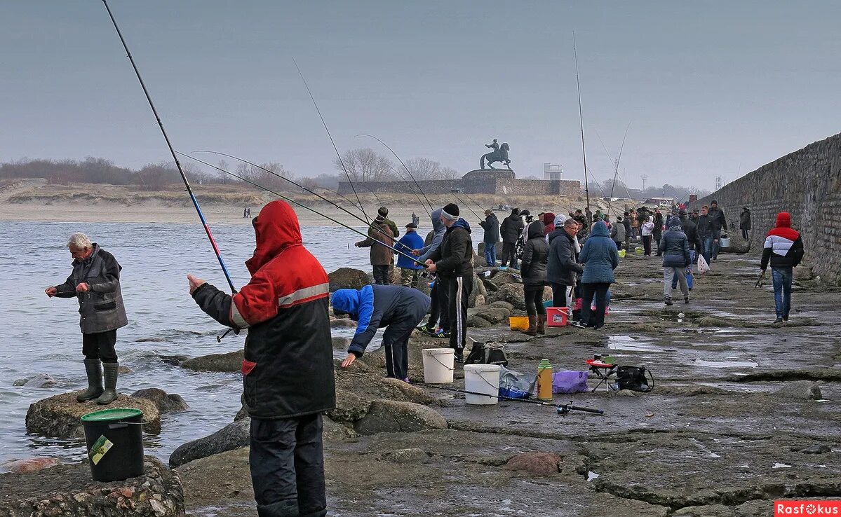 Ловля салаки. Салака в Балтийске. Рыбалка в Балтийске. Оснастка на салаку.