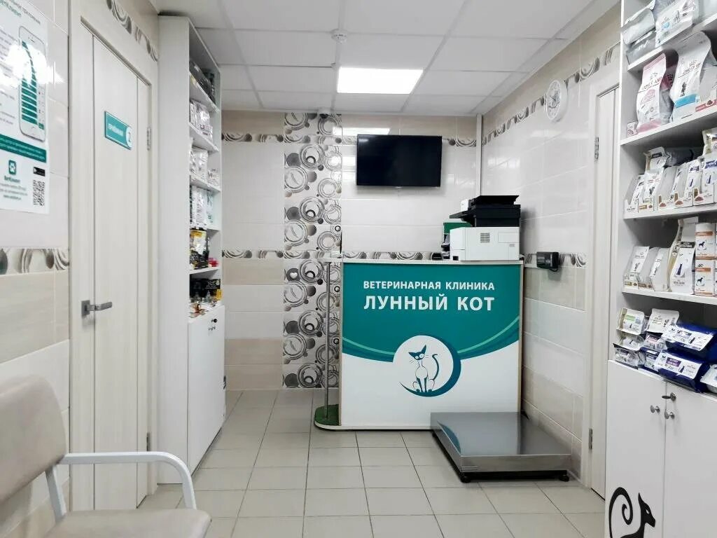 Ветеринарная клиника пермь. Клиника лунный кот. Фреска луна. Лунный кот пермь. Ветклиника на гознаке пермь.