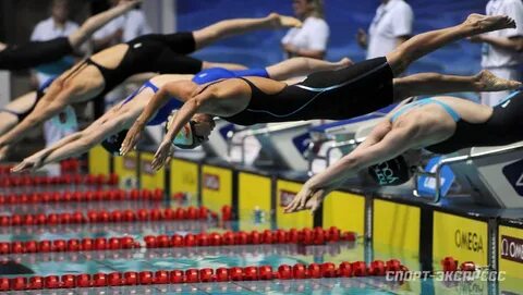 Чемпионат водных видов казани