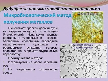 Микробиологические методы металлов