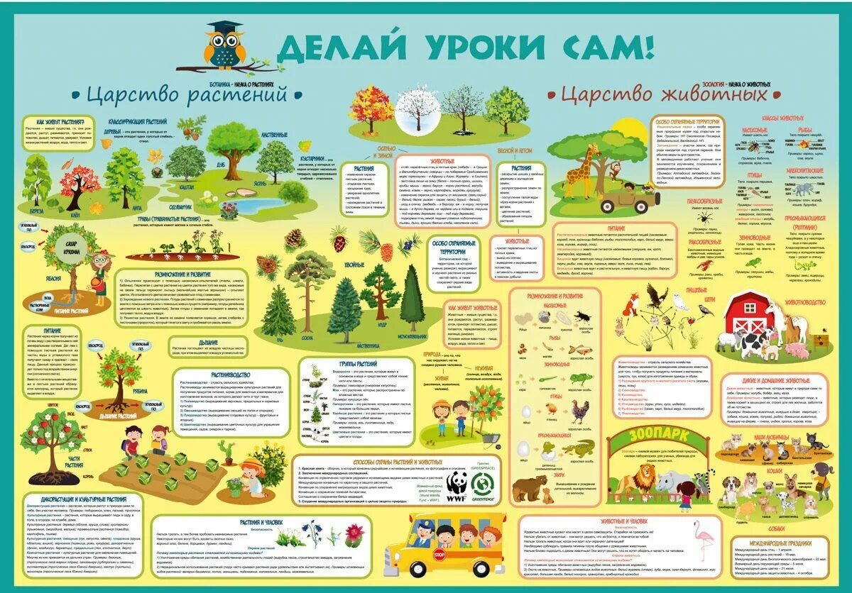 Сама делай уроки. Плакаты для школы. плакаты для начальных классов. делай уроки сам плакаты. обучающие плакаты для школьников.