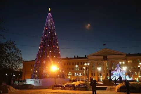 Томские ели