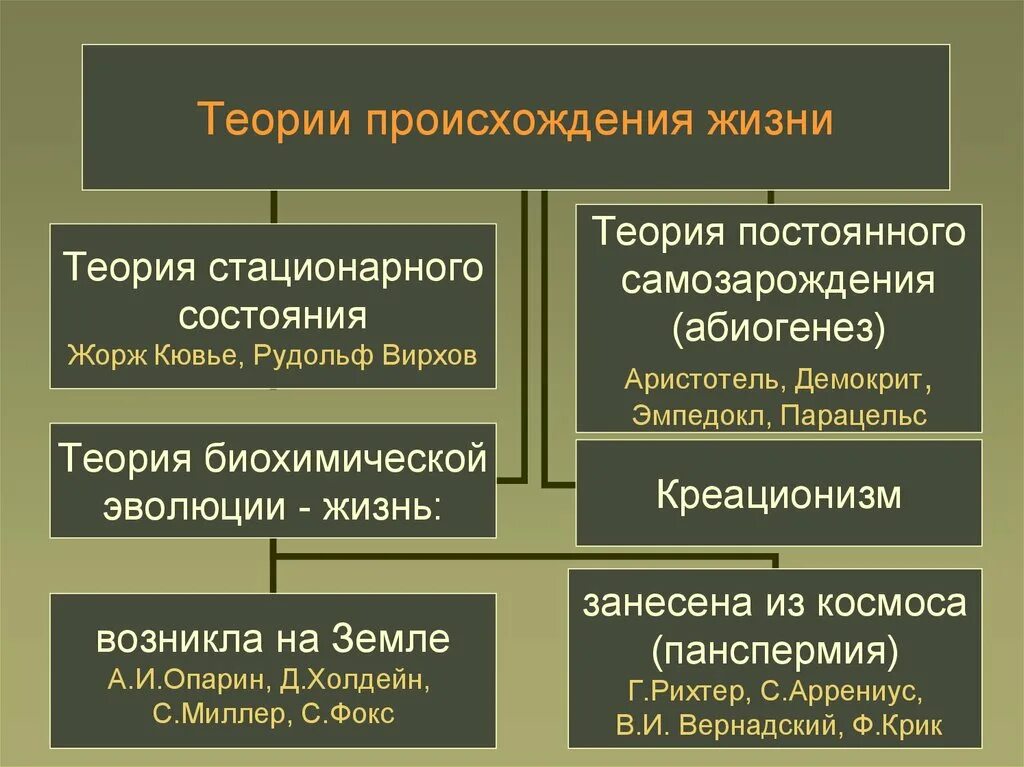 Теории возникновения жизни. Теории происхождения жизни на земле. Телрияпроисхождения жизни. Теории происхождения ж.