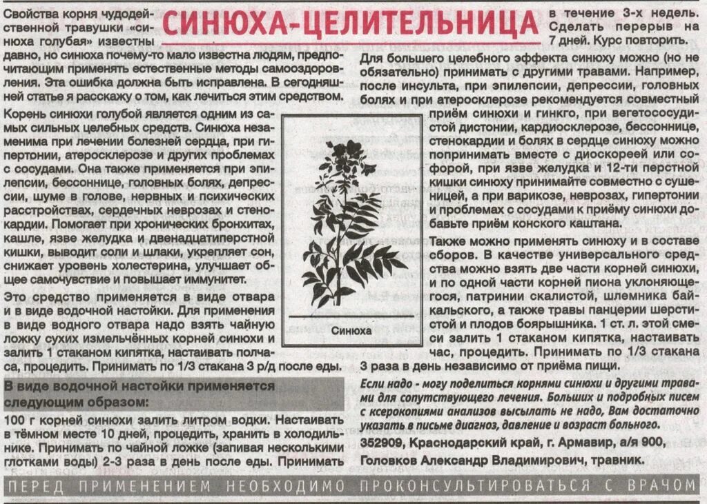 Болиголов отзывы врачей. Настойка синюхи голубой. Болиголов лекарственное растение. Болиголов в аптеке. Отвар синюхи.