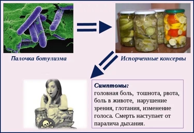 Ботулизм почему возникает. Ботулизм возбудитель отравление. ботулизм возбудитель симптомы. палочка ботулизма симптомы. пищевые отравления ботулизм.