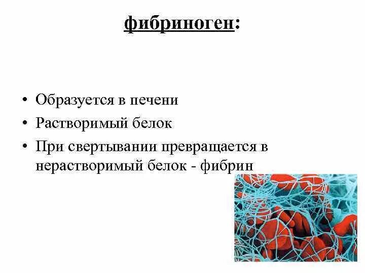 Фибрин и фибриноген. Фибрин функция белка. белок фибрин функция. фибрин нерастворимый белок.