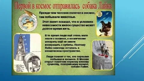 Сравнительная таблица человек в космосе