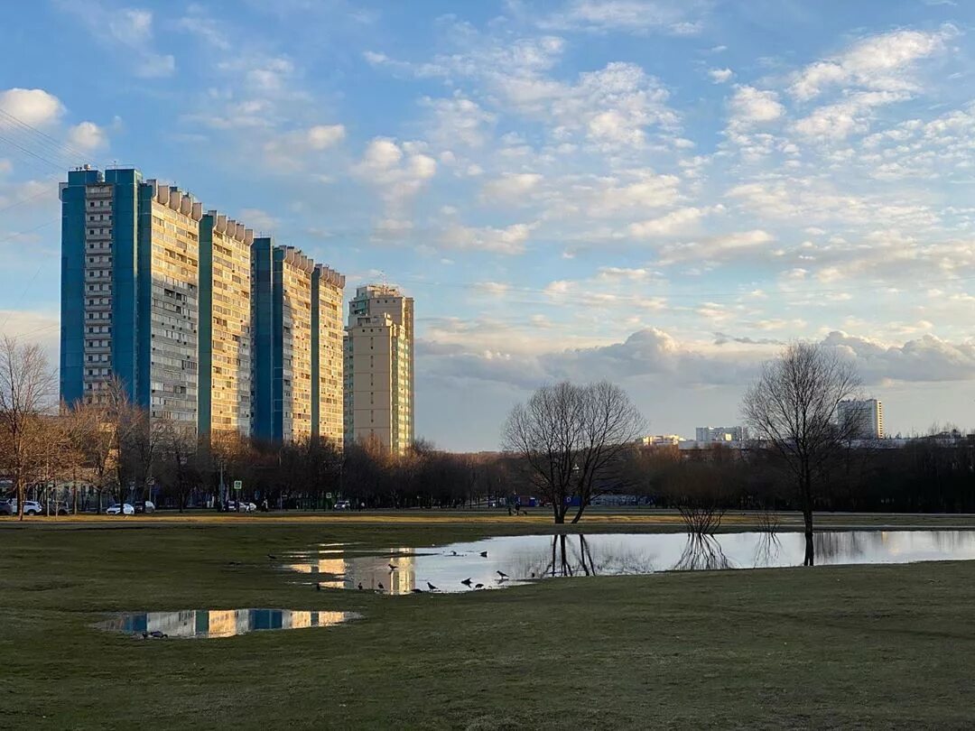 Ясенево сейчас. Ясенево (район Москвы). Ясенево парк. ЮЗАО Ясенево. Район метро Ясенево.