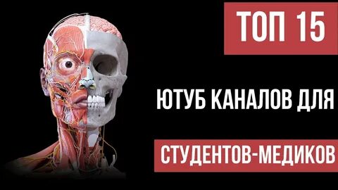 Чем полезен ютуб