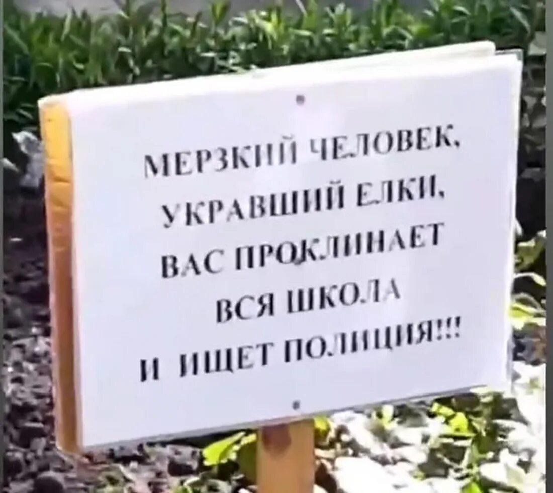 Будь проклята школа. Таблички с проклятиями. Объявление для воров на даче. Проклятые ворюги. У ворюги проклятые картинки.