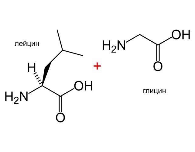 Глицин химические свойства. Глицин-лейцин-серин.. Лейцин глицин реакция. Глицин лейцин серин формула. Глицин аланин.