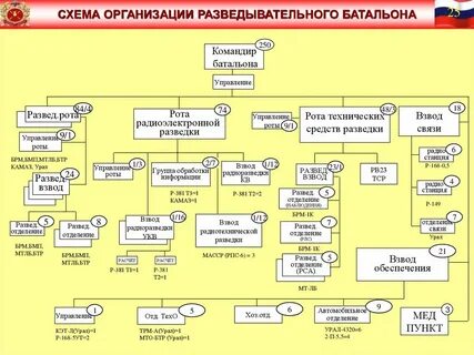 Схема отражающая ошс медицинского взвода