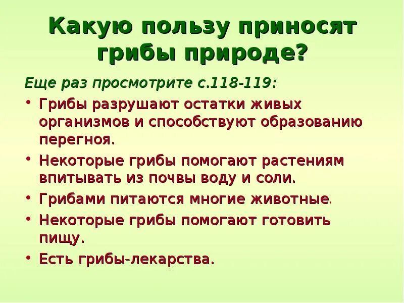 И какую пользу приносит тот. Какую пользу приносят грибы природе.