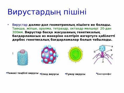 Арық қызбен жыныстық қатынас (720p видео)