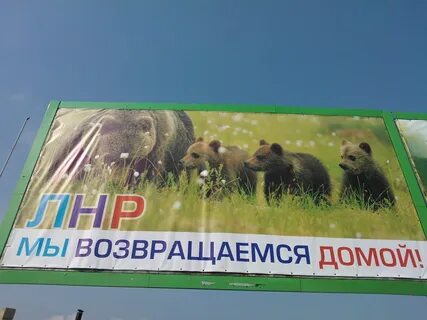 Они возвращаются домой
