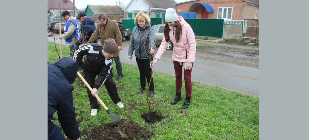 Когда будет вода в сальске. День древонасаждения. День весеннего древонасаждения 2023 Таганрог. 28 Апреля праздник древонасаждения. Деревья в Сальске.