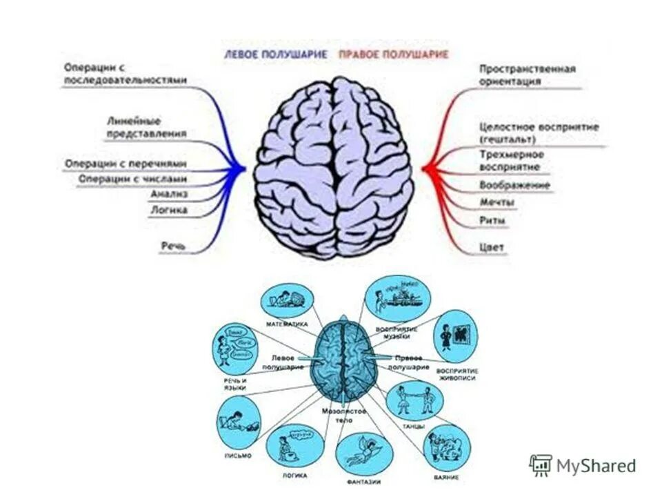 Полушарие логики. Левое и правое полушарие. Эмоции правое и левое полушарие. Способности левого и правого полушария. Левое полушарие мозга.