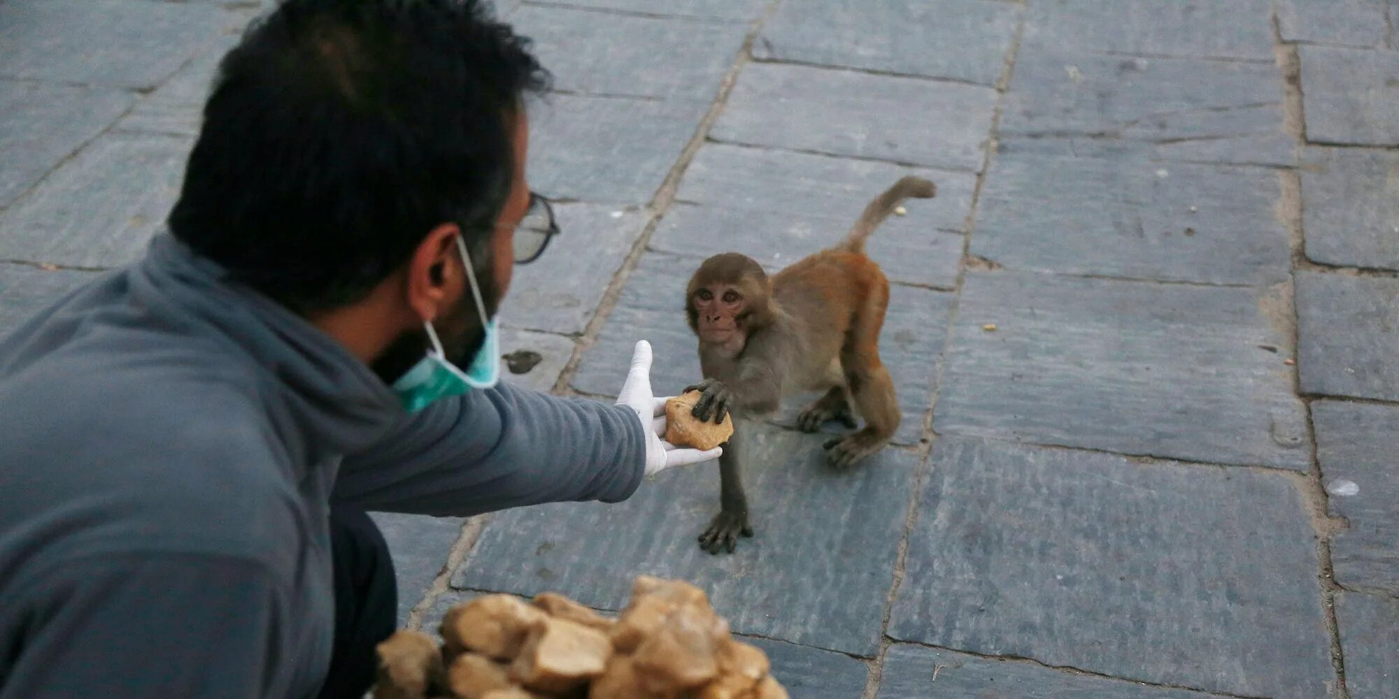 Feeding animals. Volunteer animals.