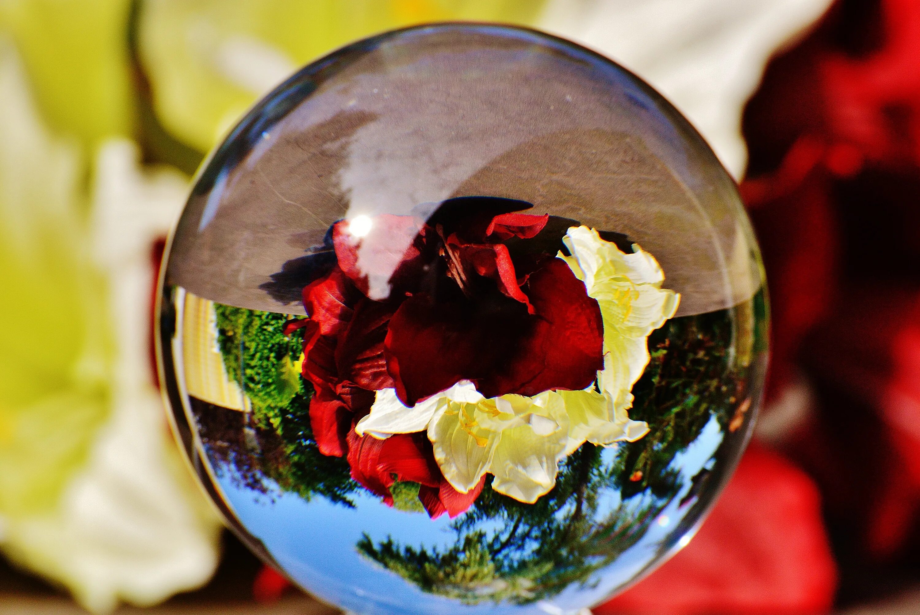 Глобус в шаре. Шар стеклянный. Цветы в стеклянном шаре. Стеклянный шар Глобус. Красивые стеклянные шары.