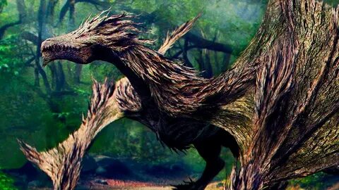 Path of dragons