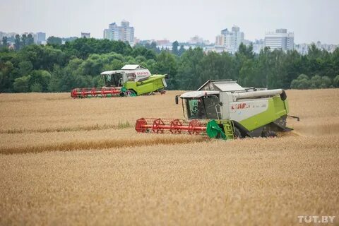 Минская птицефабрика