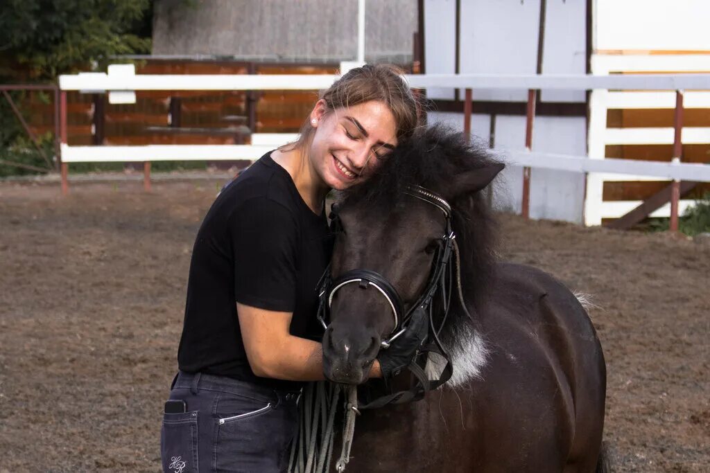 лошадь центр. пегас челябинск конный клуб. добрая лошадь. лошадь центр. конный центр на вднх.