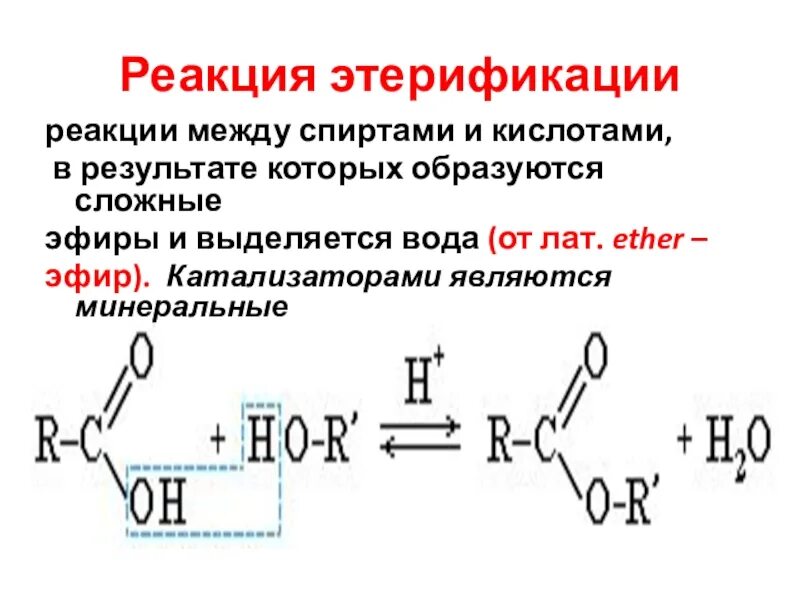 Скорость реакции этерификации. Этерификация аланина. Реакция этерификации тиолов. Реакция этерификации Альфа аминокислот. Реакция этерификации это реакция взаимодействия между.